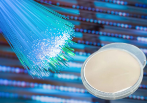 High-purity lithium niobate sintered ceramics and optical devices demonstrating the effects of advanced powder applications on surface quality and performance