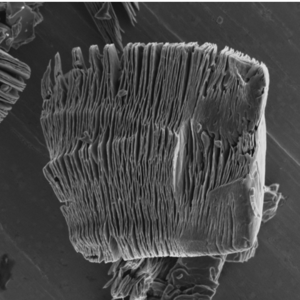 SEM image showing the characteristic layered morphology of Ti3AlC2 MAX Phase powder