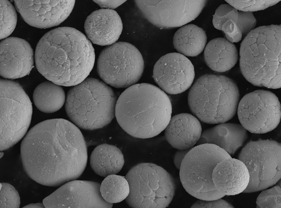 SEM image of hafnium carbide powder showing particle morphology