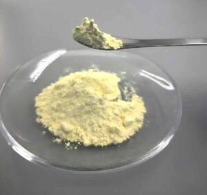 High-Purity Bismuth Oxide powder morphology under SEM showing particle size distribution and agglomeration behavior in industrial ceramic applications.