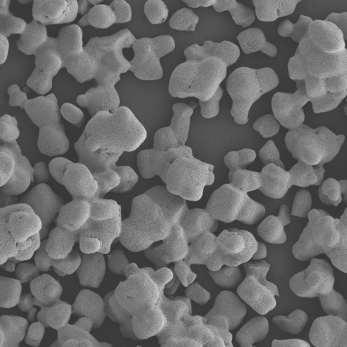 SEM image of lithium chloride LiCl powder used as aqueous electrolyte material
