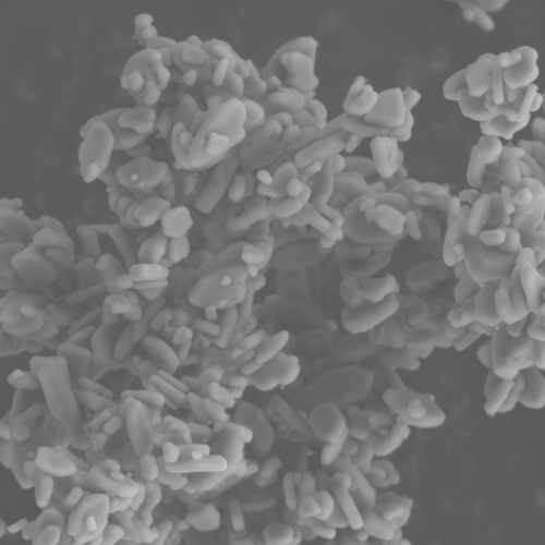SEM microstructure of LiMnFePO4 LMFP cathode material showing particle morphology